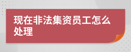 現(xiàn)在非法集資員工怎么處理