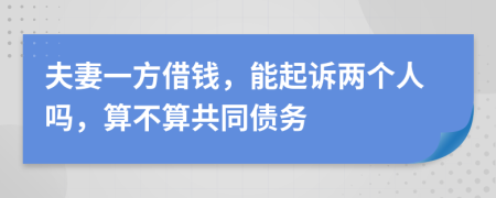 夫妻一方借錢，能起訴兩個(gè)人嗎，算不算共同債務(wù)