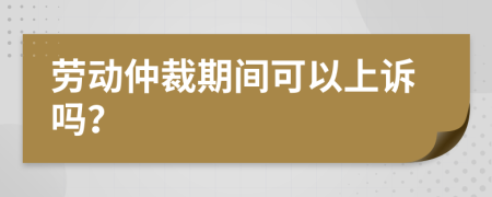 勞動仲裁期間可以上訴嗎？