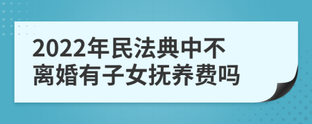 2022年民法典中不離婚有子女撫養(yǎng)費(fèi)嗎