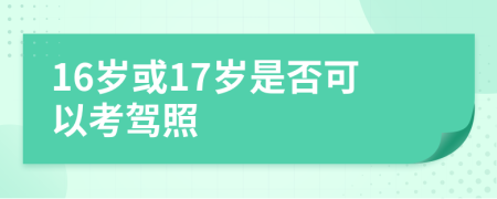 16歲或17歲是否可以考駕照