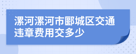 漯河漯河市郾城區(qū)交通違章費用交多少