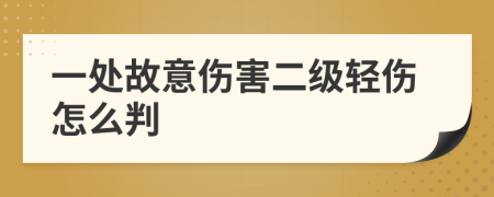 一處故意傷害二級輕傷怎么判