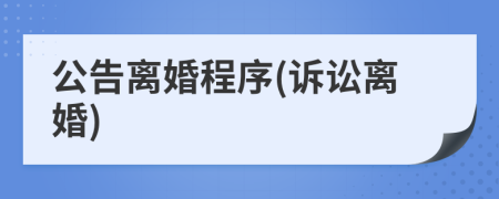 公告離婚程序(訴訟離婚)