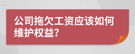 公司拖欠工資應該如何維護權(quán)益？