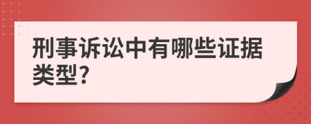 刑事訴訟中有哪些證據(jù)類型?