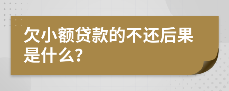 欠小額貸款的不還后果是什么？