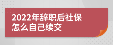 2022年辭職后社保怎么自己續(xù)交