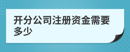 開分公司注冊資金需要多少