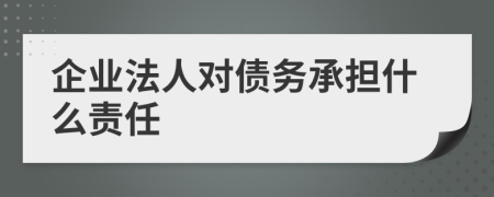 企業(yè)法人對(duì)債務(wù)承擔(dān)什么責(zé)任