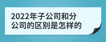 2022年子公司和分公司的区别是怎样的