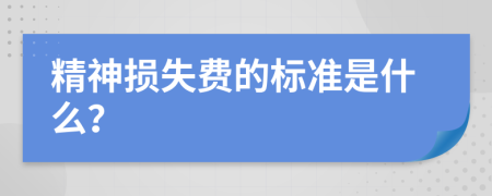 精神損失費的標(biāo)準(zhǔn)是什么？