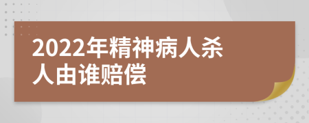 2022年精神病人殺人由誰賠償