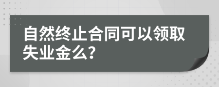 自然終止合同可以領取失業(yè)金么？