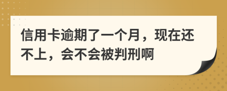 信用卡逾期了一個月，現(xiàn)在還不上，會不會被判刑啊