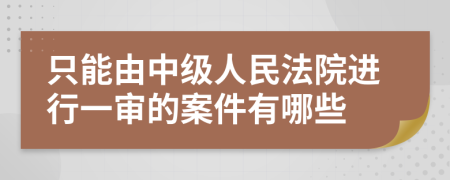 只能由中級(jí)人民法院進(jìn)行一審的案件有哪些