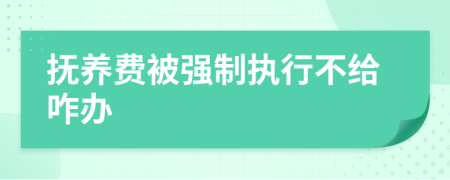 撫養(yǎng)費被強(qiáng)制執(zhí)行不給咋辦