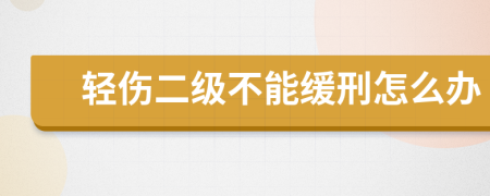 輕傷二級(jí)不能緩刑怎么辦