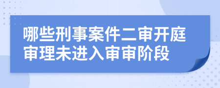 哪些刑事案件二審開庭審理未進入審審階段