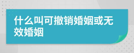 什么叫可撤銷婚姻或無效婚姻