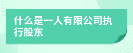 什么是一人有限公司執(zhí)行股東