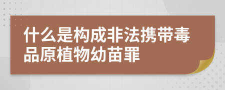 什么是構(gòu)成非法攜帶毒品原植物幼苗罪