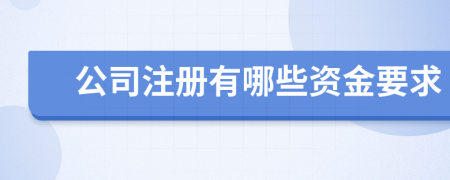 公司注冊有哪些資金要求