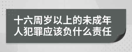 十六周歲以上的未成年人犯罪應(yīng)該負(fù)什么責(zé)任
