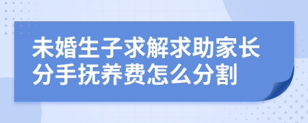 未婚生子求解求助家長分手撫養(yǎng)費怎么分割