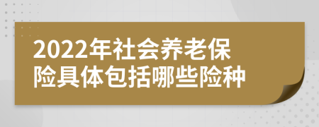 2022年社會養(yǎng)老保險具體包括哪些險種