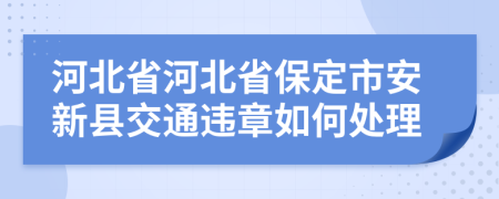 河北省河北省保定市安新縣交通違章如何處理