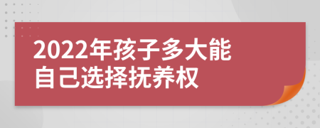 2022年孩子多大能自己選擇撫養(yǎng)權(quán)