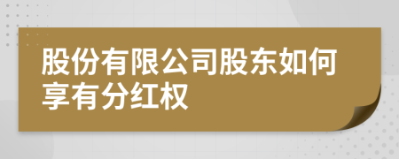 股份有限公司股東如何享有分紅權