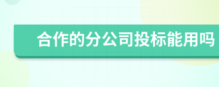 合作的分公司投標能用嗎