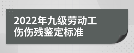 2022年九級勞動工傷傷殘鑒定標(biāo)準(zhǔn)