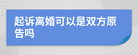 起訴離婚可以是雙方原告嗎