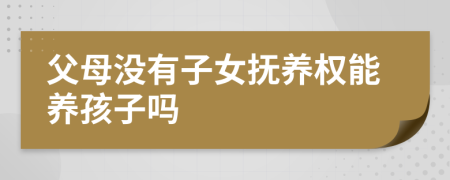 父母沒有子女撫養(yǎng)權(quán)能養(yǎng)孩子嗎