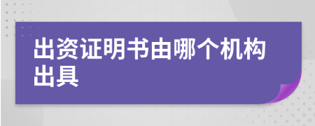 出資證明書(shū)由哪個(gè)機(jī)構(gòu)出具