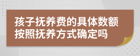 孩子撫養(yǎng)費的具體數(shù)額按照撫養(yǎng)方式確定嗎