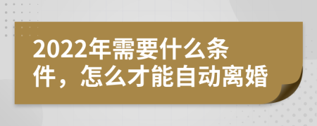 2022年需要什么條件，怎么才能自動離婚