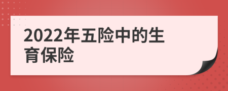 2022年五險(xiǎn)中的生育保險(xiǎn)