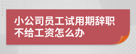 小公司員工試用期辭職不給工資怎么辦