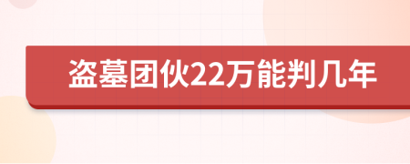 盜墓團(tuán)伙22萬能判幾年