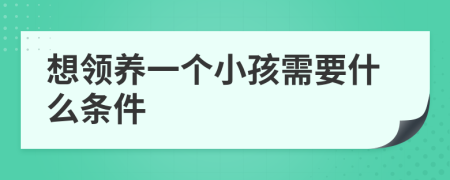 想領(lǐng)養(yǎng)一個小孩需要什么條件