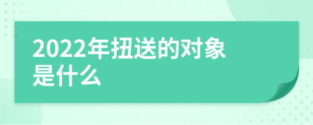 2022年扭送的對象是什么