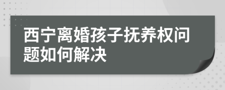 西寧離婚孩子撫養(yǎng)權(quán)問題如何解決