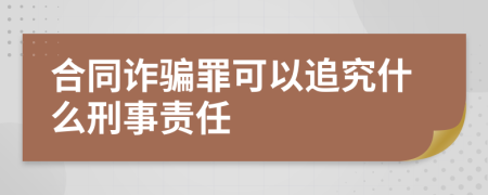 合同詐騙罪可以追究什么刑事責(zé)任