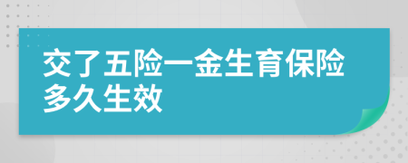 交了五險一金生育保險多久生效