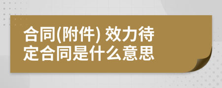 合同(附件) 效力待定合同是什么意思