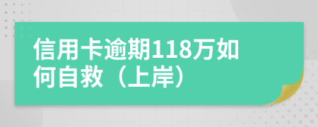 信用卡逾期118萬(wàn)如何自救（上岸）